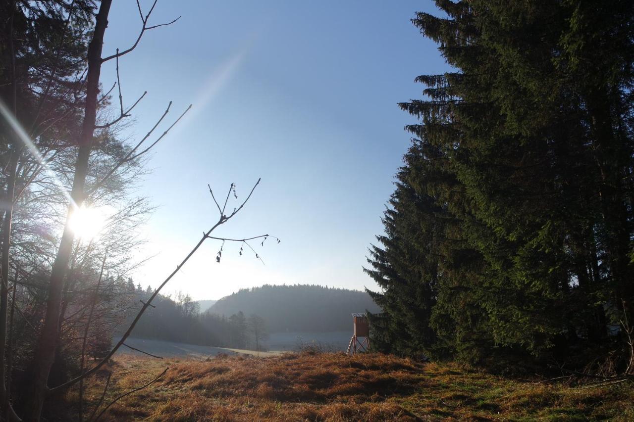 Alb Chalet Messstetten Екстер'єр фото