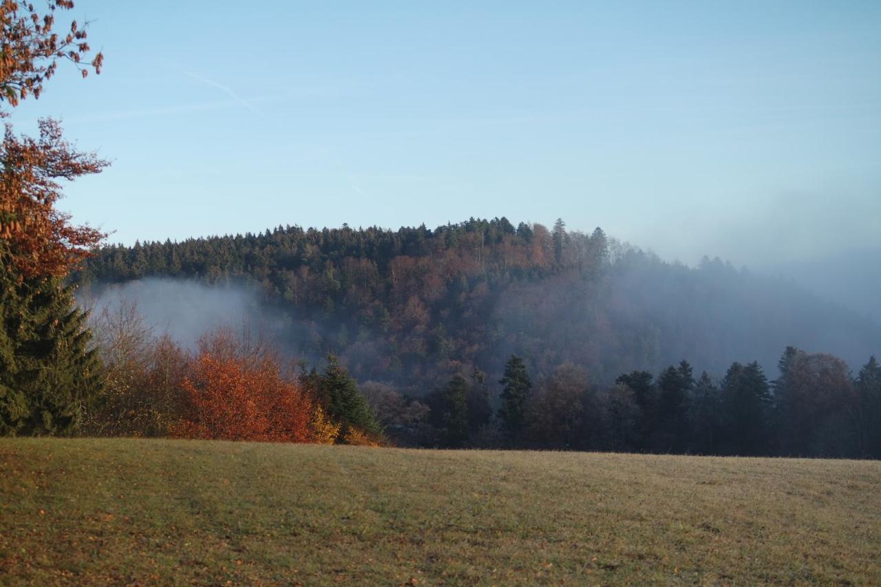 Alb Chalet Messstetten Екстер'єр фото