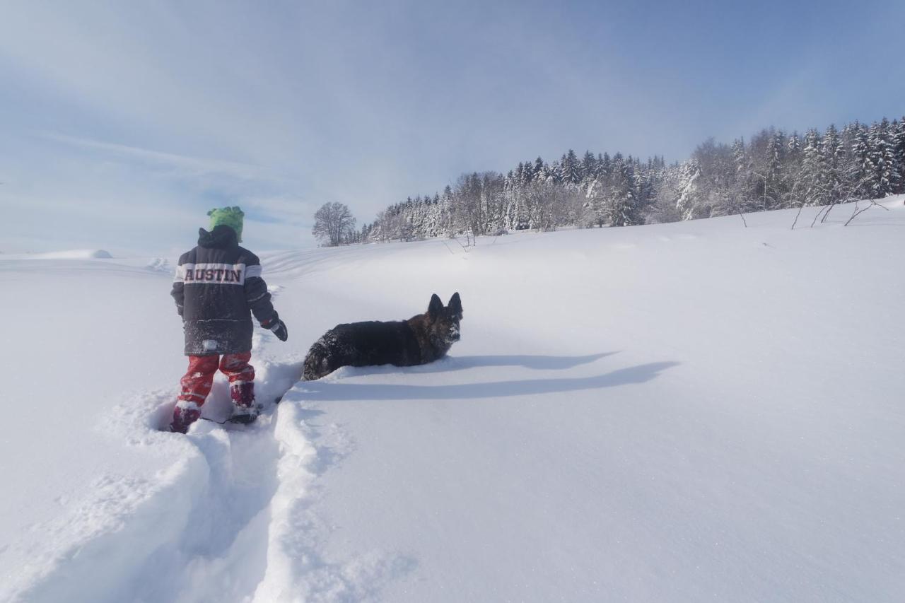 Alb Chalet Messstetten Екстер'єр фото