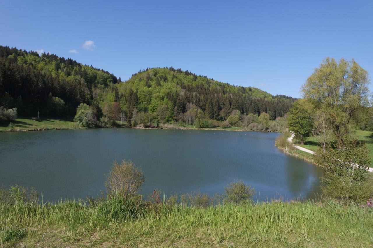 Alb Chalet Messstetten Екстер'єр фото
